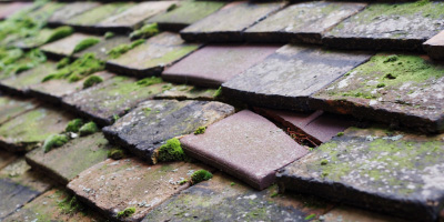 Skittle Green roof repair costs